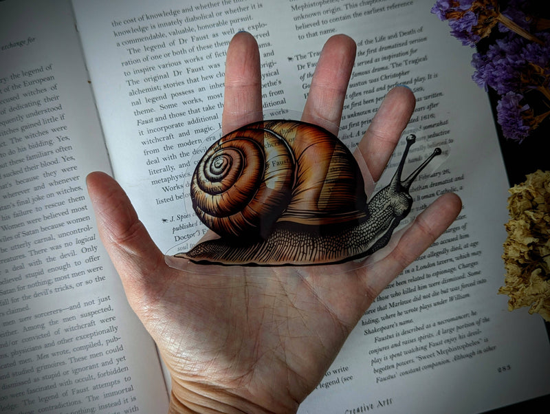 Dark Veinlet - Clear Bookmark - Snail Slug Gastropod Mollusk Dark Academia
