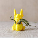 Ingadi - 3D Printed Pikachu Planter